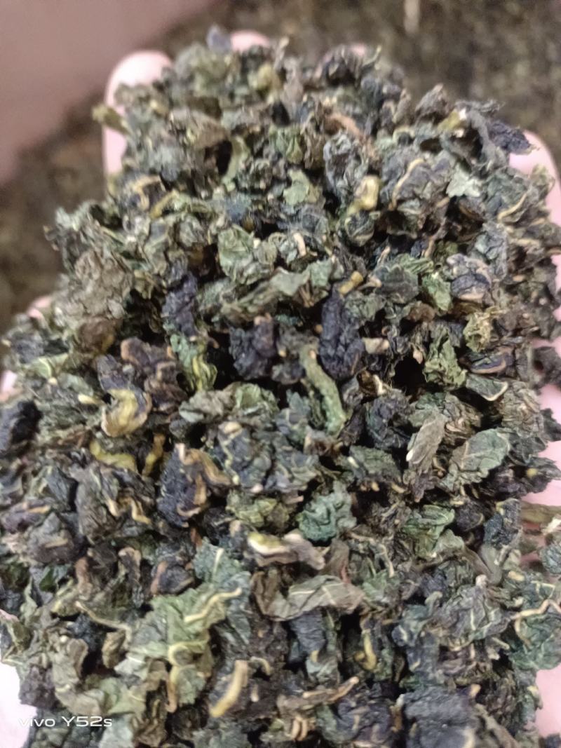 桑叶茶实物拍摄物美价廉售后无忧诚信第一需要的把健康带回家