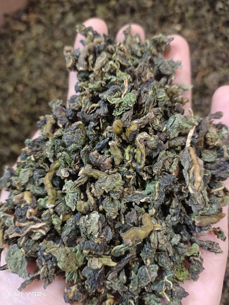 桑叶茶实物拍摄物美价廉售后无忧诚信第一需要的把健康带回家