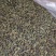 桑叶茶实物拍摄物美价廉售后无忧诚信第一需要的把健康带回家