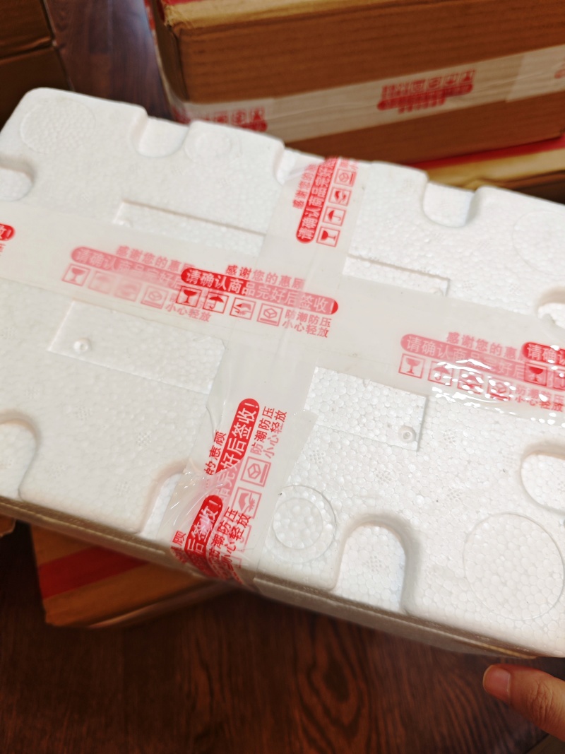 山西百年古枣树红枣