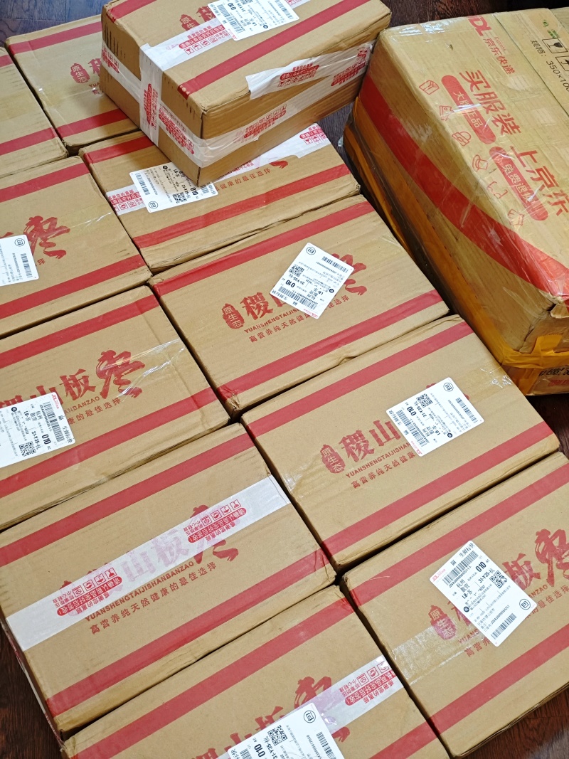 山西百年古枣树红枣