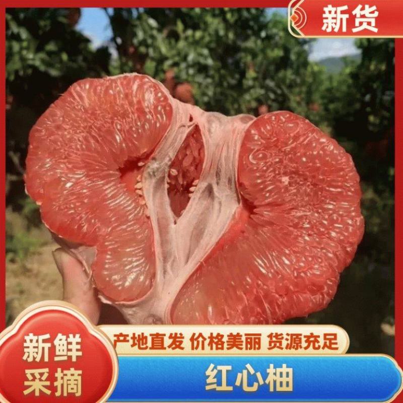 【优选商家】精品红柚大量上市可视频看货品质保证价格优惠
