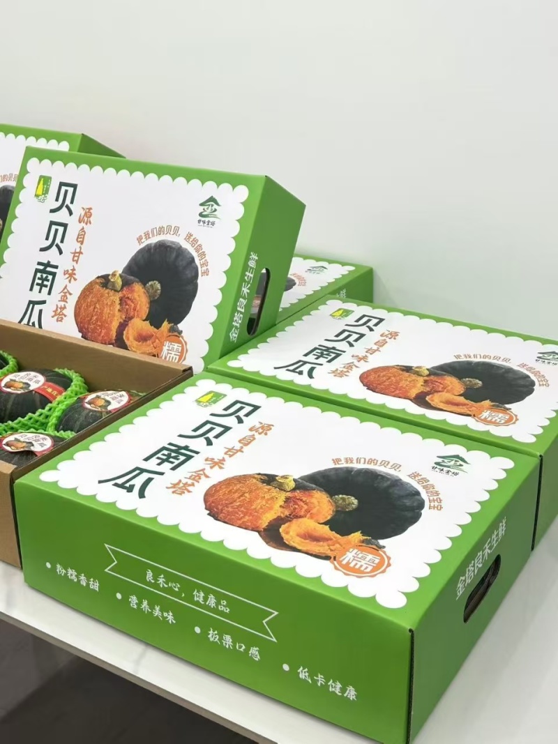 甘肃酒泉贝贝南瓜全生态无污染沙地种植
