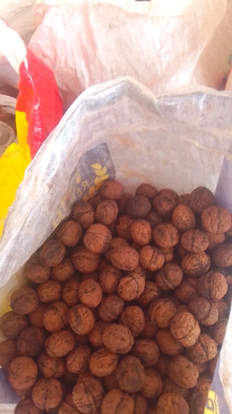 云南山地麻子核桃薄皮核桃干货今年的新出来的
