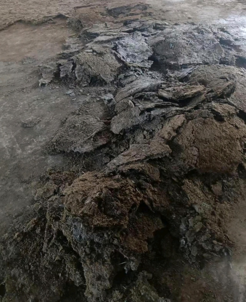 粉状干鸡粪温氏鸡粪常年有货品质保证量大从优欢迎