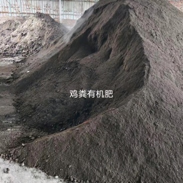 粉状干鸡粪温氏鸡粪常年有货品质保证量大从优欢迎