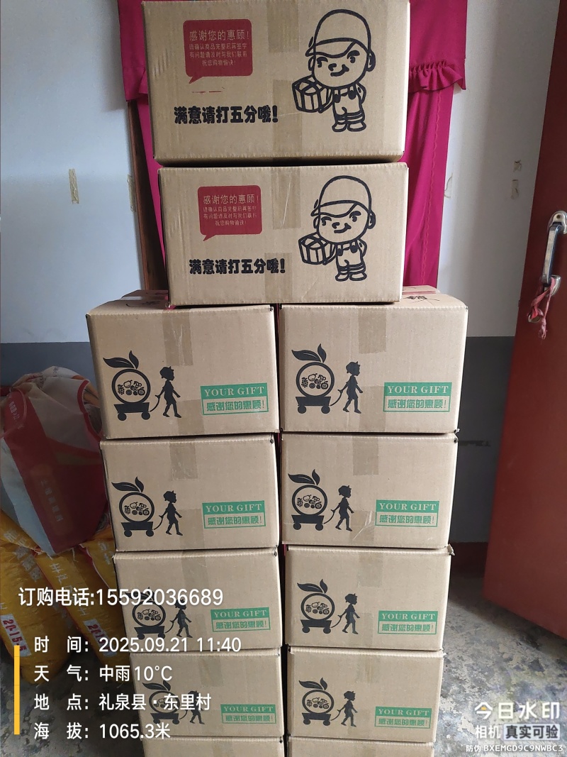 陕西渭北旱原秦脆苹果，全国包邮，每箱净重十斤。