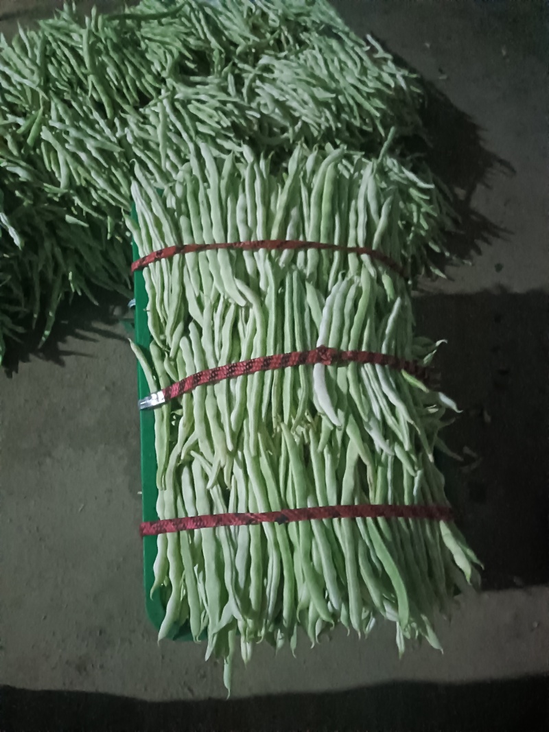 白豆角绿豆角