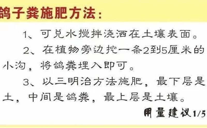 大量供应鸽子粪