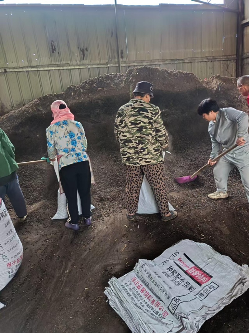 发酵纯羊粪，大量现货，基地直发品质保证，量大从优！