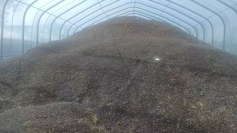 发酵纯羊粪，大量现货，基地直发品质保证，量大从优！