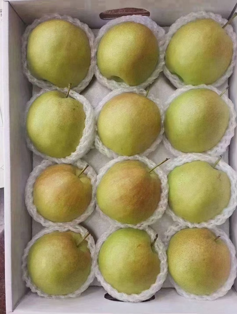 小西天玉露香梨
