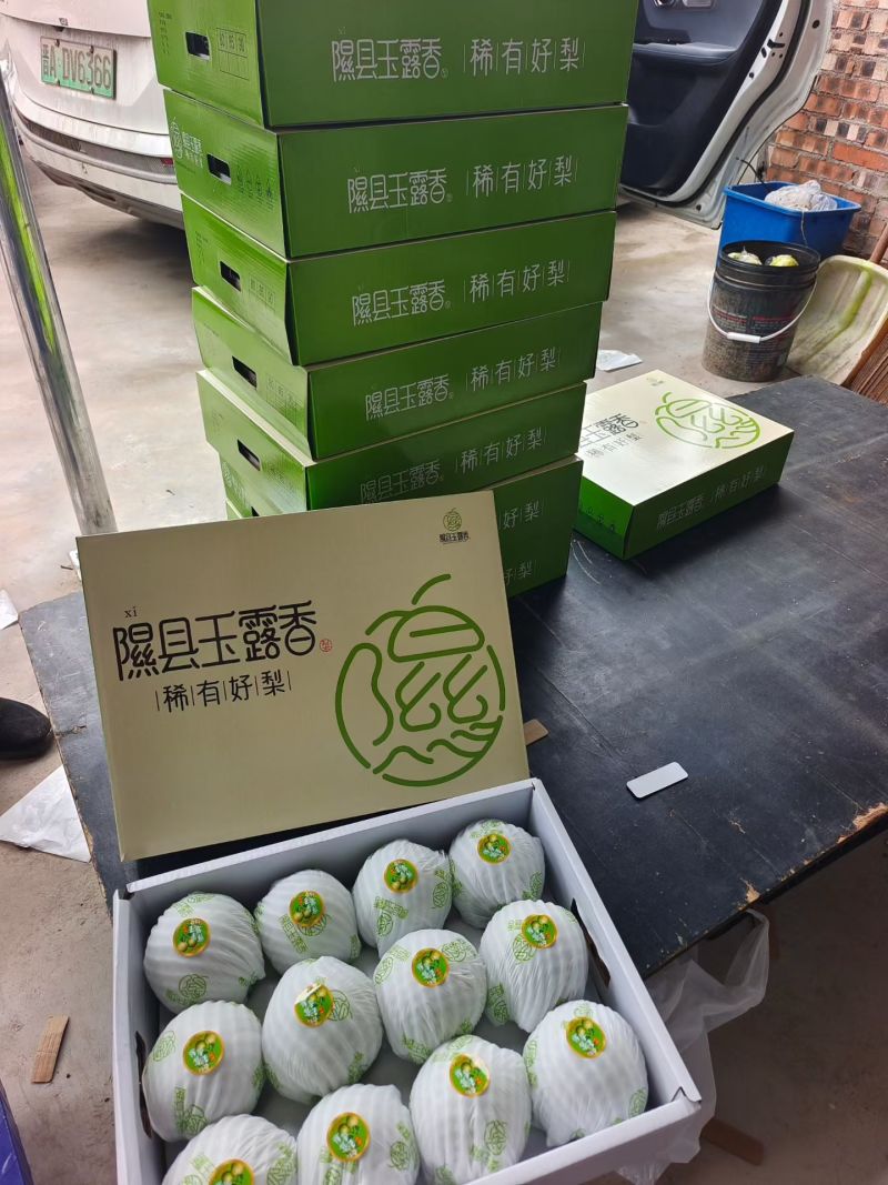 小西天玉露香梨