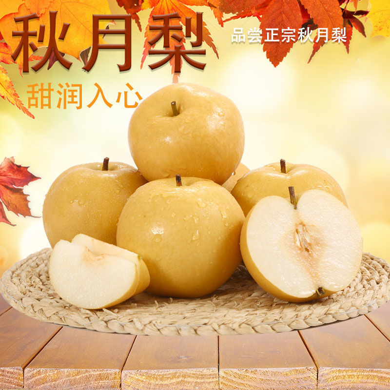 秋月梨正宗秋月梨产地直发脆甜多汁对接商超电商