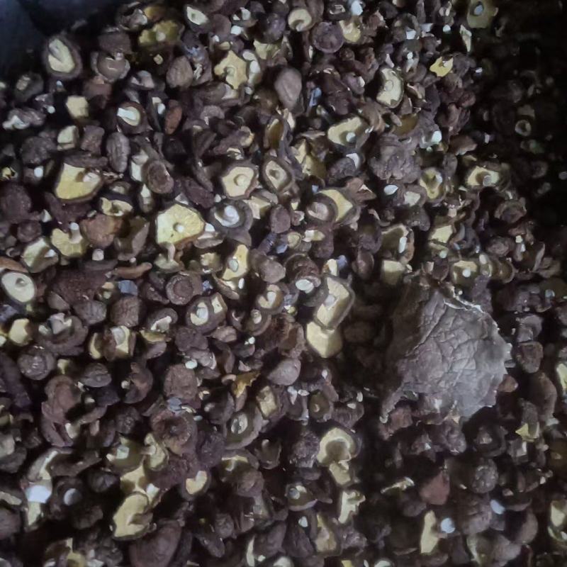 驻马店干香菇长期供货，量大支出，欢迎选购