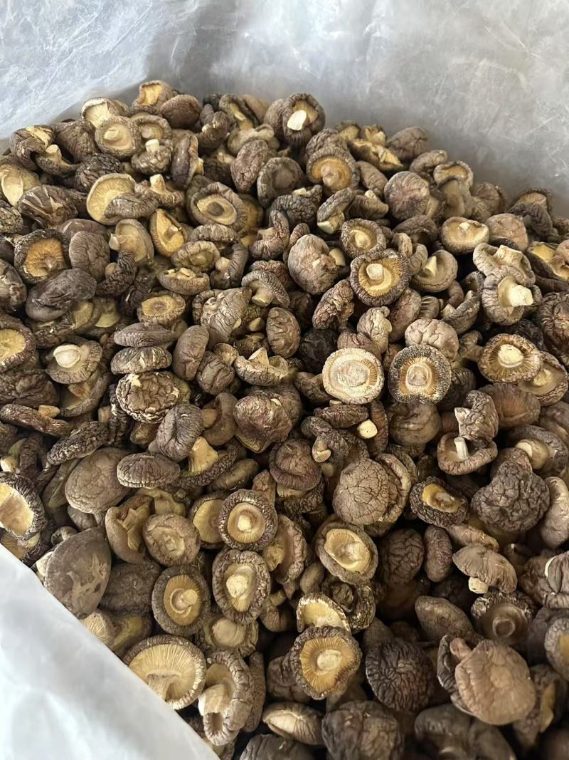 驻马店干香菇长期供货，量大支出，欢迎选购