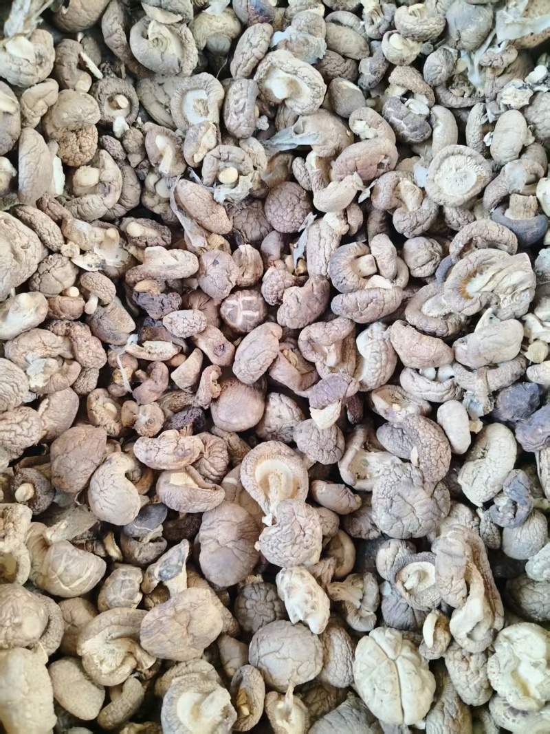 驻马店干香菇长期供货，量大支出，欢迎选购