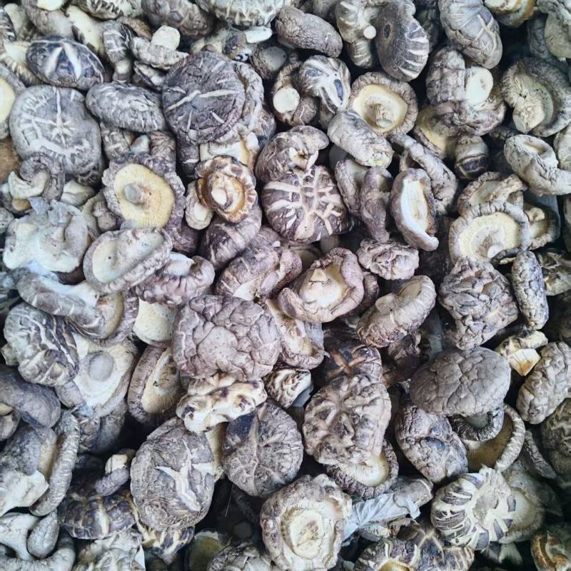 干花菇长期供应，河南产地支出，量大从优