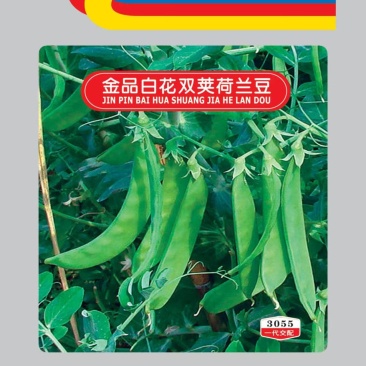 豌豆种子金品双荚白花荷兰豆甜脆大荚