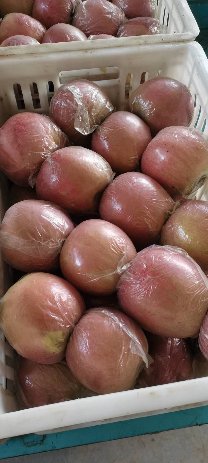 中秋王苹果，斗南苹果，口感脆甜多汁，果面干净，货源充足