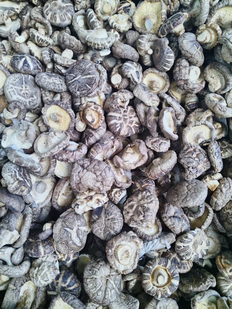 干花菇长期供应，河南产地支出，量大从优