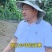 鼠茅草，果园抗杂草的好帮手，省人工又省钱，全年不除草