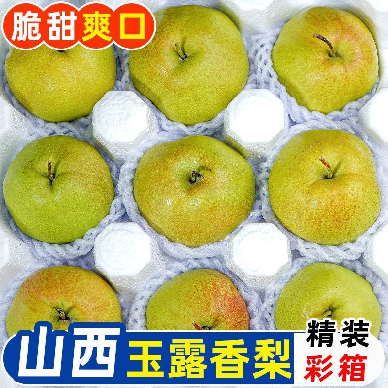 山西玉露香梨