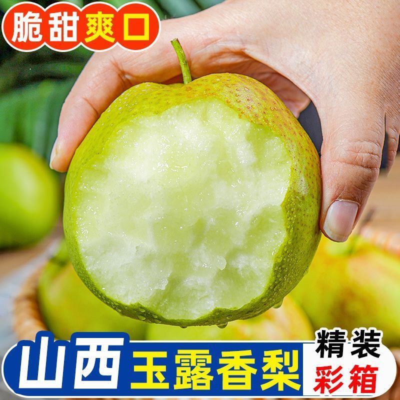 山西玉露香梨