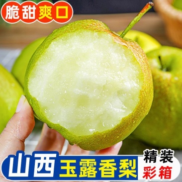 山西玉露香梨