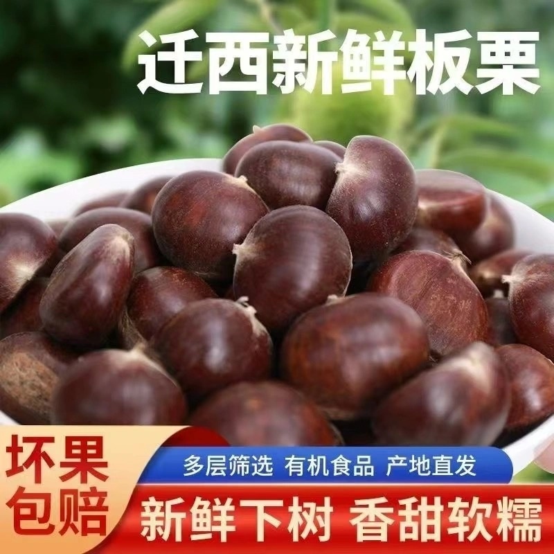河北迁西老树板栗炒货靓货特别好特别棒