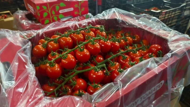 串串樱桃番茄🍅一级串