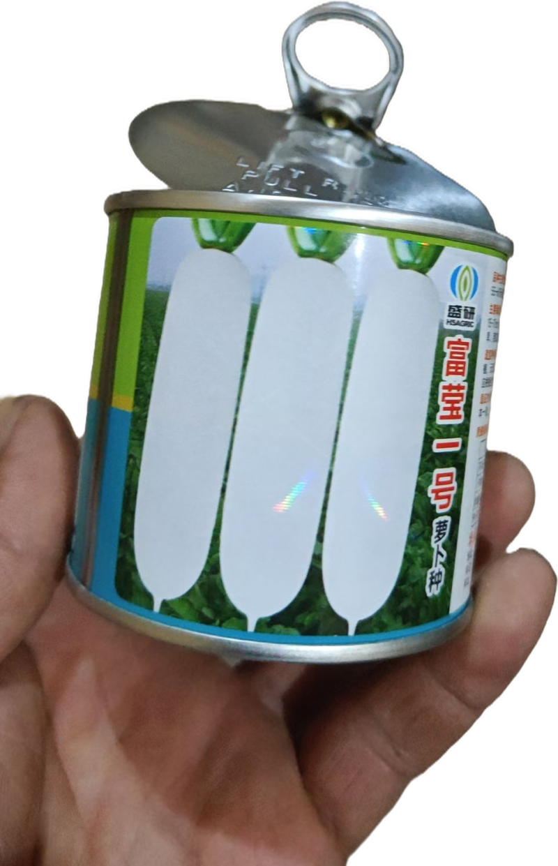 白萝卜五一后大量上市，水洗打冷货，电商，加工厂萝卜，等