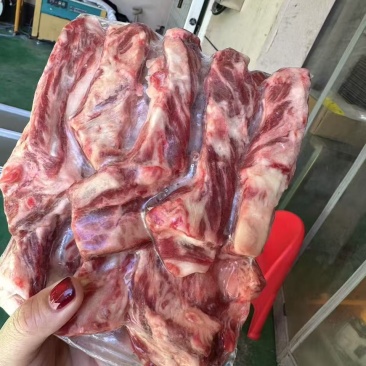 腹肉条
