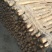 九斤黄山药大量上市产地直发一手货源保质保量