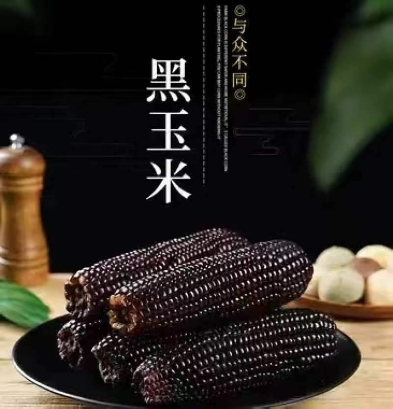 《推荐》山东甜糯黑玉米基地直发对接商超电商团购一条龙