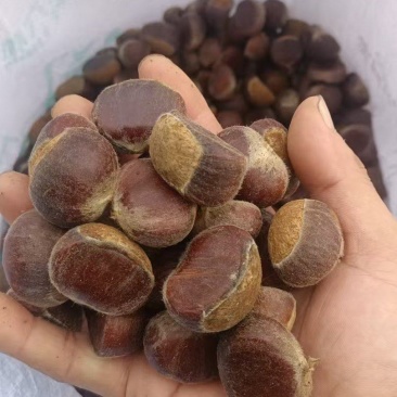 正宗罗田板栗质量可靠，不用打广告的板栗，中国地理标志产品
