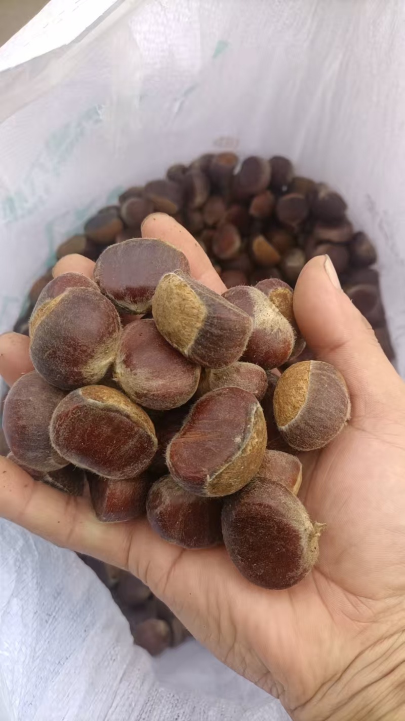 正宗罗田板栗质量可靠，不用打广告的板栗，中国地理标志产品