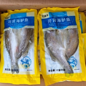 开背海鲈鱼
