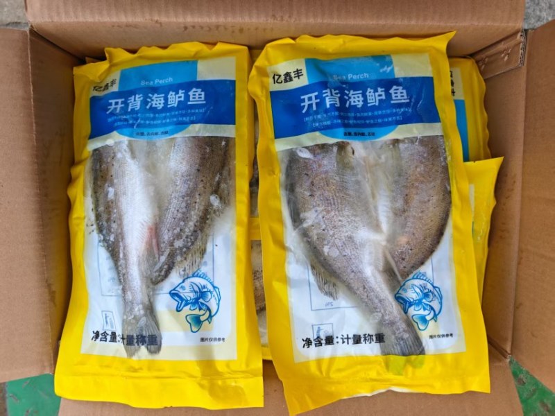 开背海鲈鱼