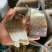 草鱼块地摊电商批发草鱼块草鱼条草鱼干皖鱼块皖鱼条干鱼干