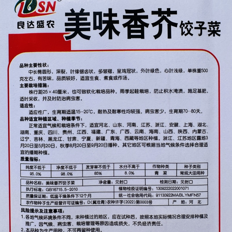 饺子菜种子香叶饺子菜种香芥菜种籽四川四季蔬菜香菜种子