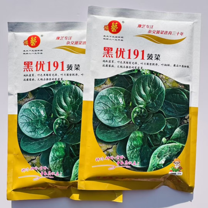 豫艺黑优191趴地菠菜种子圆叶叶片肥厚叶色黑绿味浓