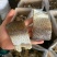 草鱼块地摊电商批发草鱼块草鱼条草鱼干皖鱼块皖鱼干鱼干