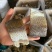 草鱼块地摊电商批发草鱼块草鱼条草鱼干皖鱼块皖鱼干鱼干