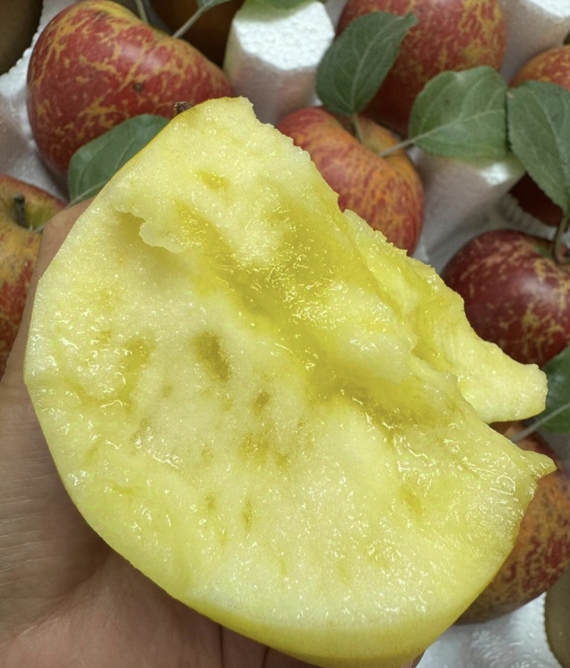 苹果
