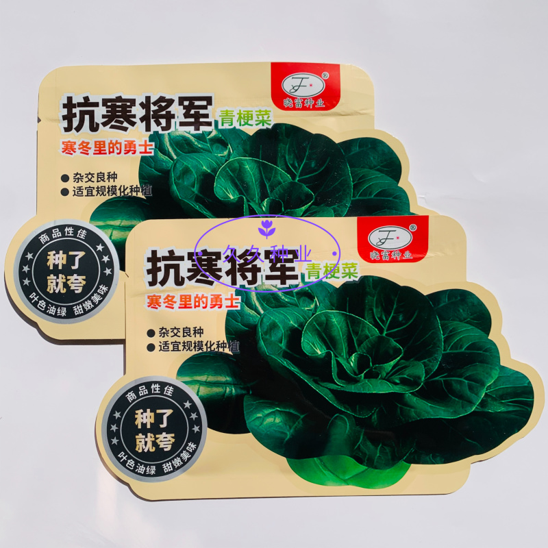 抗寒将军青梗菜种子杂交苏州青类型青菜种子叶片肥厚深绿青菜