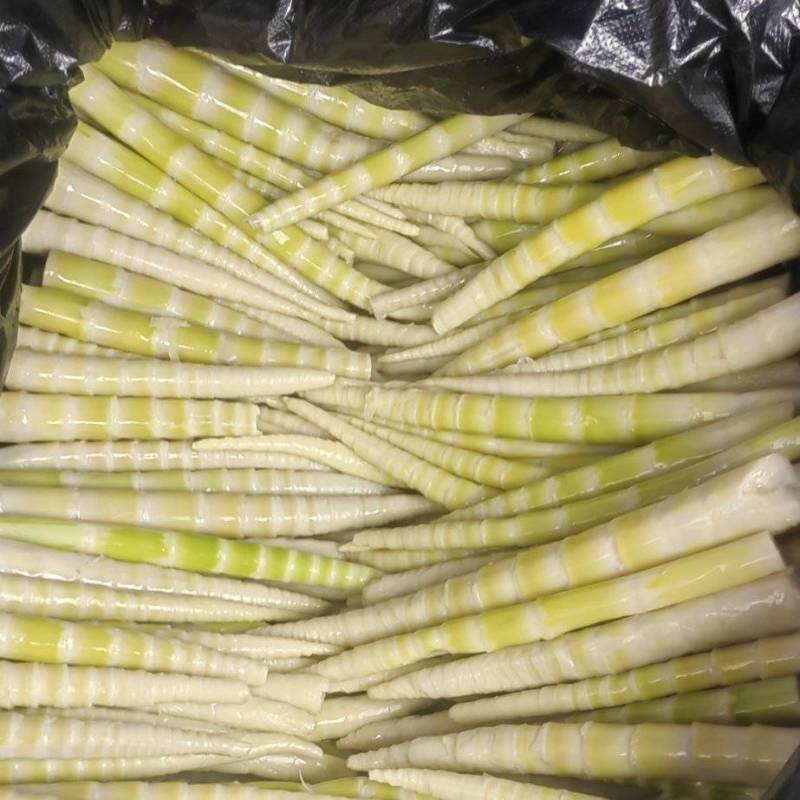 野生带壳秋笋八月笋刺竹笋产地直供一手货源整车走货
