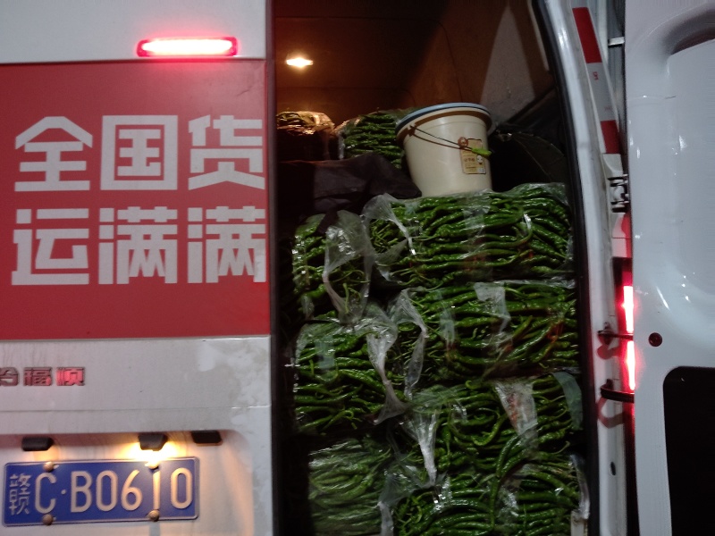 贵州小螺线喜欢的欢迎来聊