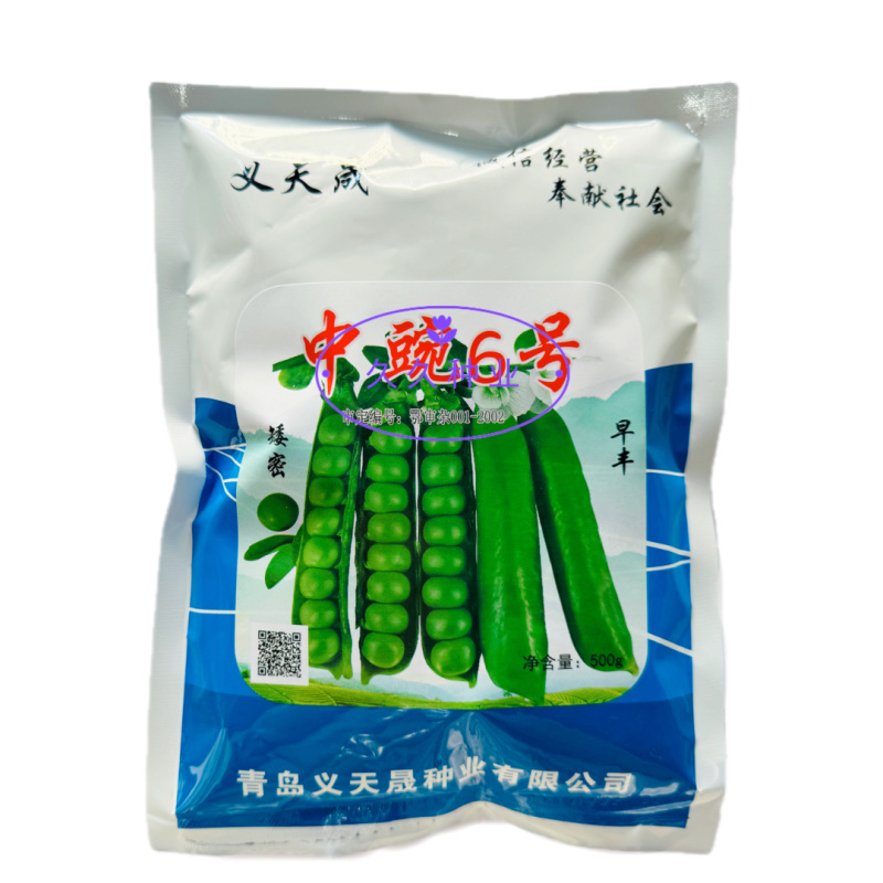 中豌6号矮密早丰皮薄易熟甘脆甜美高产抗病耐秋冬季播种