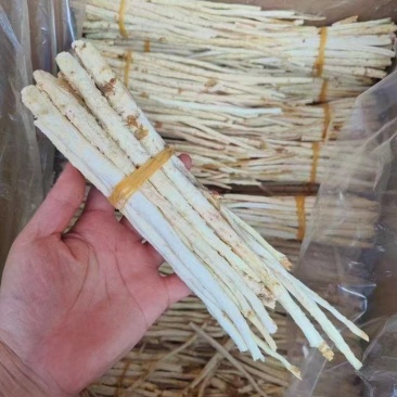 北沙参中把新货白干净颜色好实体百万销量售后无忧